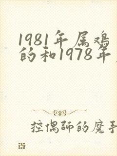 1981年属鸡的和1978年属马的婚姻封面