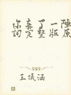 你来了一阵子歌词完整版原唱