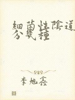 细菌性阴道发炎分几种