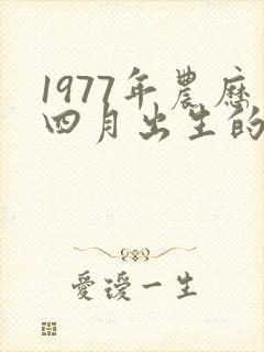 1977年农历四月出生的命运