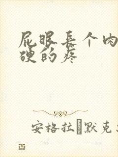 屁眼长个肉球硬硬的疼封面