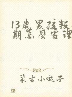 13岁男孩叛逆期怎么处理