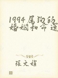 1994属狗的婚姻和命运如何封面