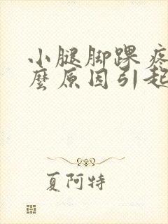 小腿脚踝疼痛什么原因引起的