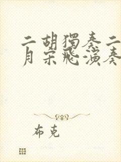 二胡独奏二泉映月宋飞演奏