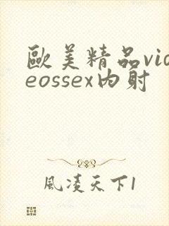 欧美精品videossex内射