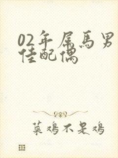 02年属马男最佳配偶封面