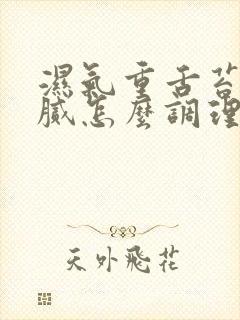 湿气重舌苔白厚腻怎么调理