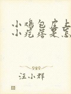 小鸡包皮上有个小疙瘩是怎么回事