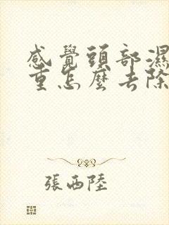 感觉头部湿气太重怎么去除?封面