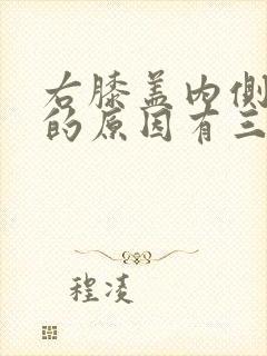 右膝盖内侧疼痛的原因有三种