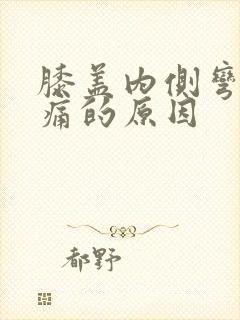 膝盖内侧弯曲疼痛的原因封面