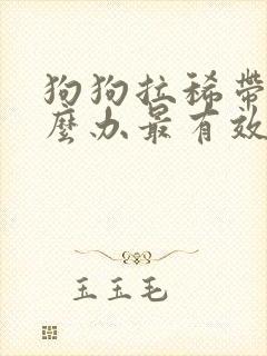 狗狗拉稀带血怎么办最有效的方法