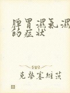 脾胃湿气湿热重的症状