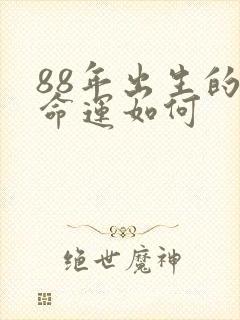 88年出生的人命运如何