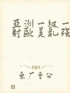 亚洲一级一片内射欧美乱强