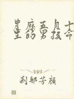 农历五月十五出生的男孩命运如何?