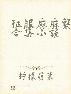 征服麻麻系列大合集小说