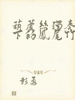 葫芦丝独奏月光下的凤尾竹降b调封面