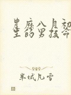 农历八月初一出生的男孩命运