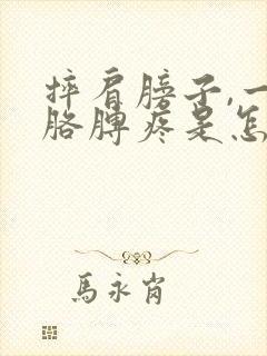 摔肩膀子,一抬胳膊疼是怎么回事封面