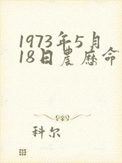 1973年5月18日农历命运封面