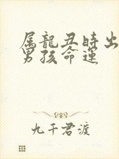 属龙丑时出生的男孩命运