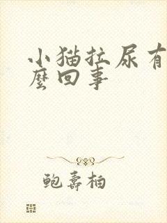 小猫拉尿有血怎么回事封面