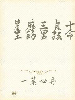 农历三月十三出生的男孩命运如何