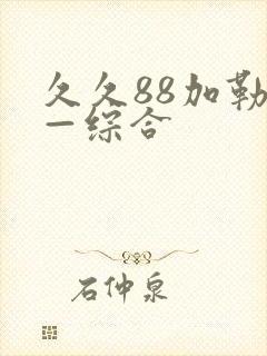 久久88加勒比—综合