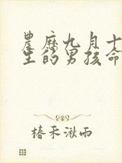 农历九月十六出生的男孩命运