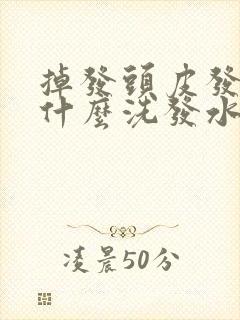 掉发头皮发痒用什么洗发水比较好