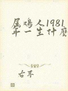 属鸡人1981年一生什么命运?