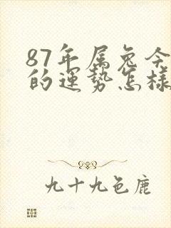 87年属兔今年的运势怎样