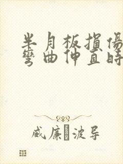 半月板损伤膝盖弯曲伸直时嘎吱响