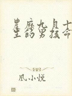 农历九月十九出生的男孩命运好不好