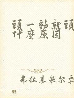 头一动就头晕是什么原因