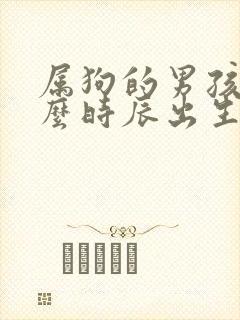 属狗的男孩子什么时辰出生好封面