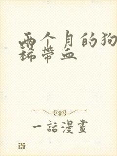 两个月的狗狗拉稀带血