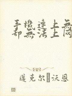 手机连上无线网却无法上网