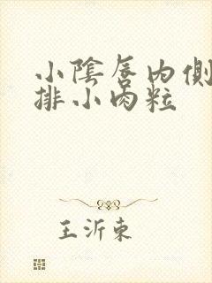 小阴唇内侧长一排小肉粒