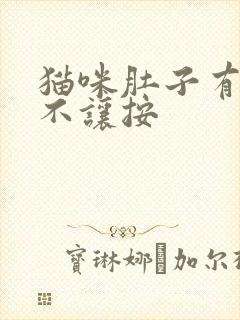 猫咪肚子有硬块不让按