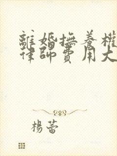 离婚抚养权起诉律师费用大概要多少