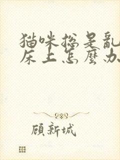 猫咪总是乱尿在床上怎么办