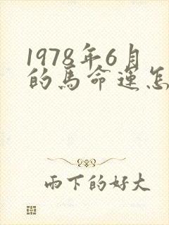 1978年6月的马命运怎样