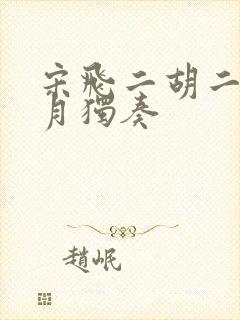 宋飞二胡二泉映月独奏