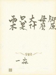 两只大母脚趾麻木是什么原因