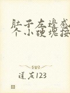 肚子左边感觉有个小硬块按下有点痛