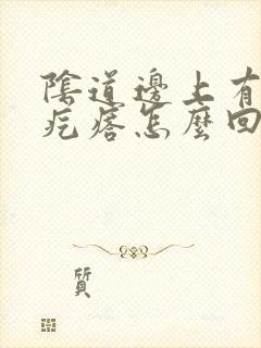 阴道边上有个小疙瘩怎么回事