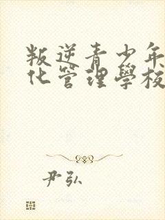 叛逆青少年军事化管理学校